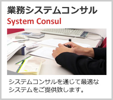 業務システムコンサル